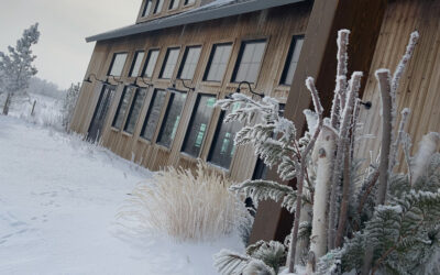 7 REASONS THE GROUNDS AT THE BARN AT WIND’S EDGE ARE TRULY ONE OF A KIND